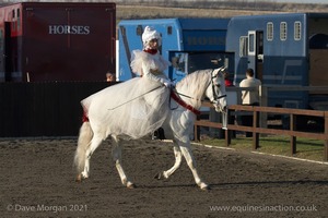 Collecting Ring Fancy Dress!